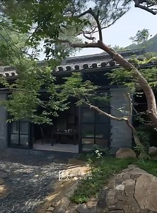 Choose a tree with a graceful, open form as the centerpiece of the courtyard, allowing its gnarled branches to extend naturally, creating a soft boundary against the hard courtyard walls. Stone arrangements are laid out along the tree's root system, and moss spreads along the crevices of the stones, illuminated by the interplay of light and shadow. When the wind rustles through the leaves, dappled sunlight falls upon the simple ceramic bowls in the courtyard. There is no deliberate artifice, onl