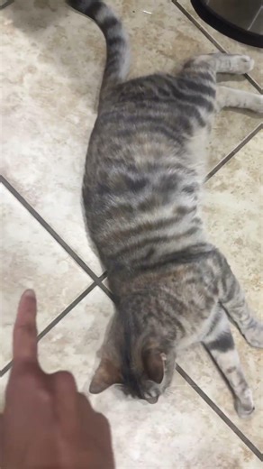 core training session