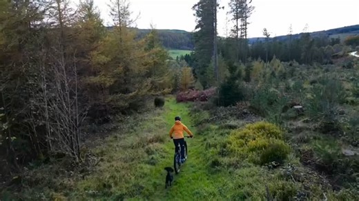 The wild wild wood… 🍁 www.mtb.wales #autumnvibes #Wales #instamtb #VisitWales #trailride #mtb #adventure #justride #mbwales #mtbwales #mtblove #enduro #explore #ridetolive #mountains #mtbguide #outside #getoutdoors #mtb #mountainbiking #mountainbike #ride #bike #outdoors #cycling #cycle #mtblife #bikelife #walesbytrails | Mountain Bike Wales