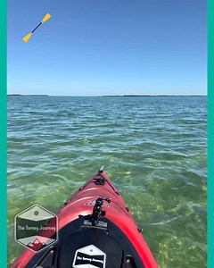 A little Kayaking in Key West today. Clear blue water and a picture perfect day 🛶 ☀️🌴 #theturneyjourney #keywest #florida #kayaking #rvlife #exploring #camping #lifeisajourney #campinglife | The Turney Journey
