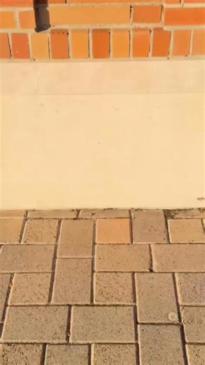 It’s all in the details 🔎🐾 | Chapman University