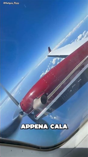 ecco cosa succede davvero