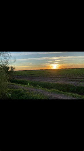 Stunning Green Sunset Over Vibrant Landscape
