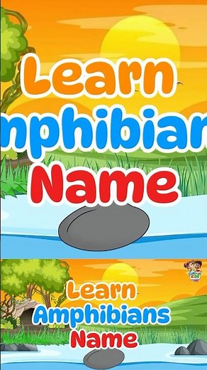 Learn Amphibians 🐸🦎 Fun Learning for Kids