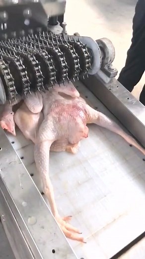 Food Processing Techniques in an Industrial Kitchen