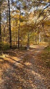 4.2K views · 238 reactions | Look I get it. We’ve come such a long way. I’m really tired. I thought we’d made it, too. But I was wrong. So now what do we do? We take a moment, check in on others, acknowledge our feelings, take a break from social media and the news if we need to, and… Start back up that hill! Because we did it before. We can do it again. Together, we can do anything.  | Meg Cabot | Facebook