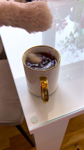 Ughhh, My Cat Is So Grumpy