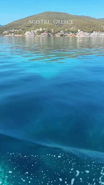 📍Agistri Greece sits in the Saronic Gulf, close to the islands of Aegina and Poros #fy #fyp #agistri #saronicgulf #sailinglife #greece #foryoupage