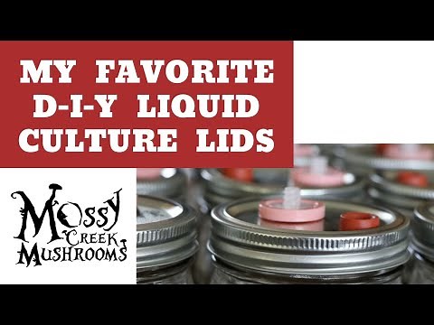 Check out this Easy DIY Liquid Culture Lid! Save Time, Money & Your Sanity!