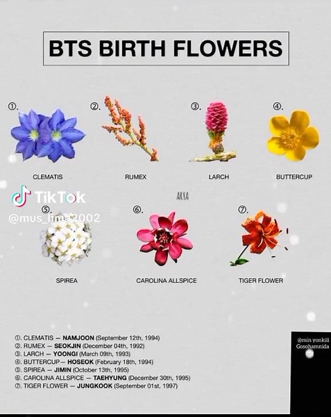 Exploring the Meaning Behind BTS Birth Flowers
