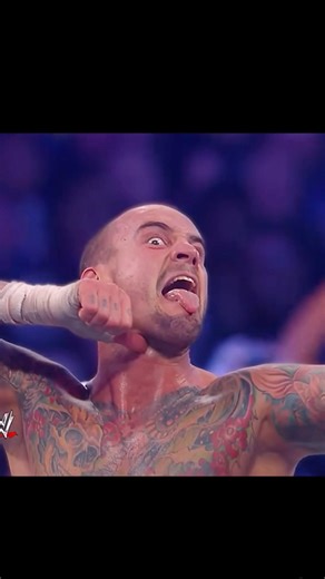 CM Punk vs Undertaker Wrestlemania 29 #wwe #cmpunk #undertaker #wrestlemania