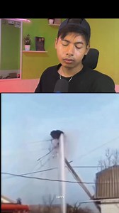 940K views · 10K reactions | Angry birds #fypp #reels #viral | Xebra Themichael | Facebook