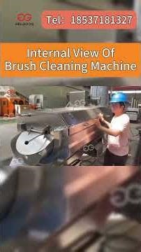 A Complete Reveal of the Quick-Dismantle Brush Washer's Interior