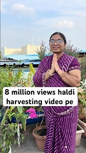 8 million views Haldi harvesting video pe itna piyar dene ke liye dhanyawad #gardening #shortvideo