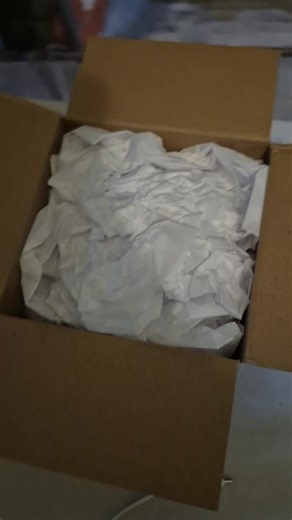 Exploring Unique Octopi Crafts from Donna The Dead