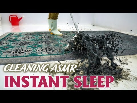 4 Hour Carpet Cleaning ASMR – Sleep-Inducing Sounds for Stress Relief
