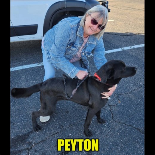 24 reactions · 5 comments | The slideshow from our most recent trip up is available! A life well lived must have purpose. A purpose for good, not evil. A purpose for kindness, not cruelty. A purpose for compassion, not apathy. Put a little love in your heart. Adopt, Don't Shop | Red Fern Ranch | Facebook