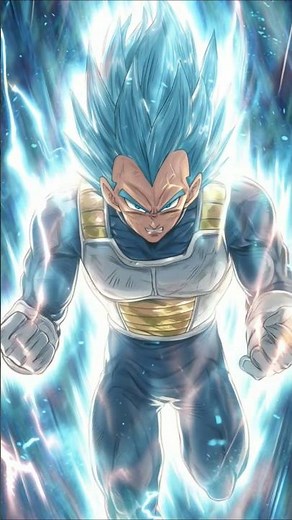 LEGENDS LIMITED Super Saiyan God SS Evolved POWERFUL Vegeta