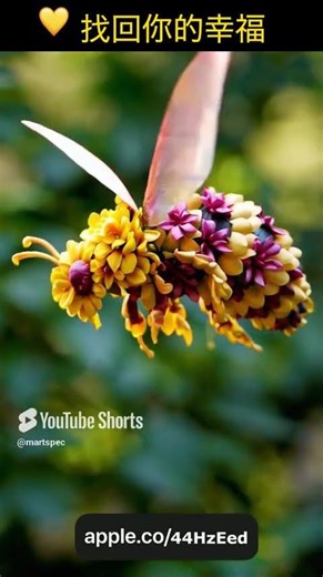 🐝 幸福，一触即达 #applewatch #apple