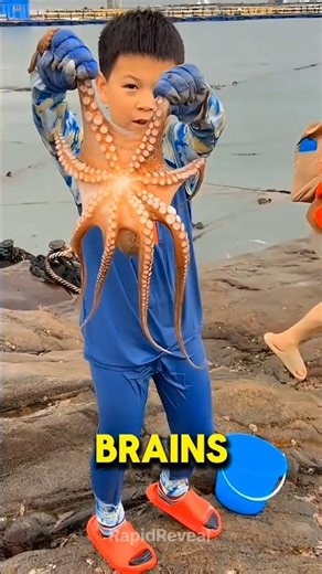 Smartest Animal in the Ocean? 🔥 #usa #facts #shorts
