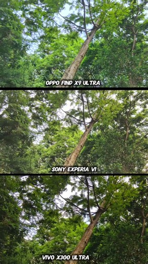 Sony Experia V1 vs Vivo X300 Ultra Vs Oppo Find X9 Ultra Photography Test Camera Testing zoom Test