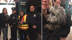 Bad girl! Dog on subway tracks in Brooklyn makes for 'ruff' commute