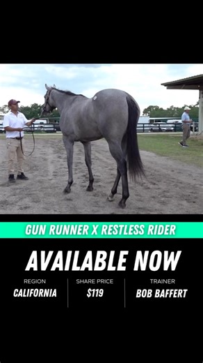 5.5K views | Ever dreamed of owning a racehorse? Now you actually can...