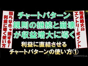 ⚡利益に直結させるチャートパターンの使い方①⚡チャートパターンを利用したトレード使用例｜Wトップ・Wボトム｜フラッグ｜レクタングル