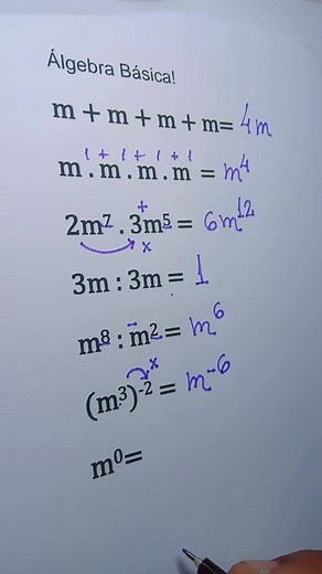 Aprender Álgebra Básica: Fundamentos Matemáticos en Aula