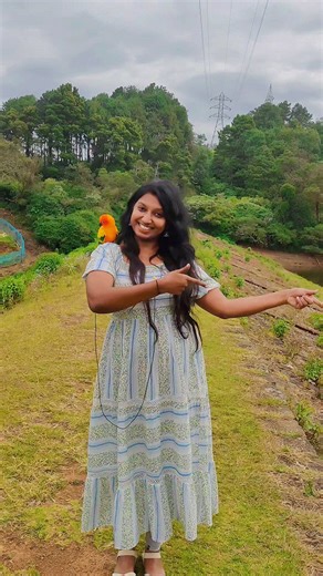 Mighty feathers | Going with trend #sunconure #sunconureparrot #sunconuresofinstagram #mightyfeathersfarm #ladybird | Instagram