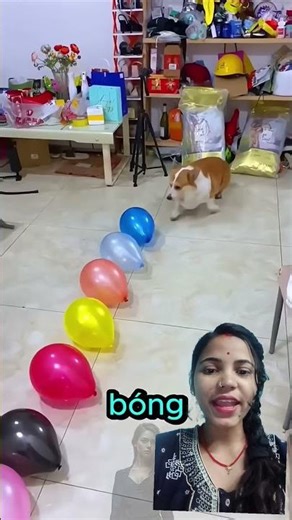 Real vs Fake? Green Screen Ka Kamaal