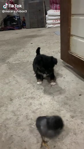Nuestra niña: momentos adorables de Cloe