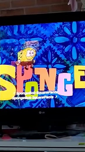 My bird reacts to the seagul in the SpongeBob Intro