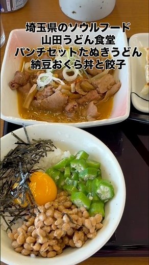 埼玉県のソウルフード 山田うどん食堂 パンチセットうどん 納豆オクラ丼 餃子