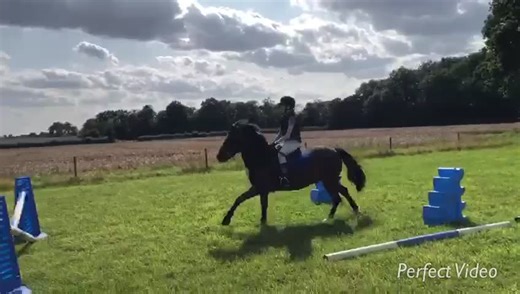 Ok I’m falling 😬🤕 #equestrian #equine #equinefail #pony #horse #horseriding #horsefail #ridingfail #ouch #fyp #equestrian #equine #equinelife #ponie