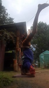 Day 26 30 Day 3:30 Headstand Challenge One Love | Brent Talbot