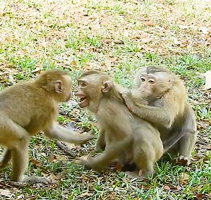 2.6K views · 59 reactions | A Super Fun Between Ricky and Jimmy Leading To A Fight ting When An Other One Joined, | Story History | Facebook