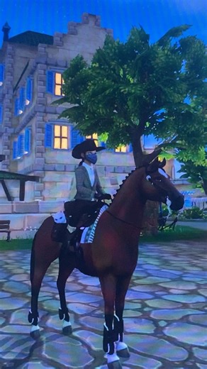 POV: You’ve spent days questing for the free horse… ~ #starstableonline ~