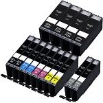 Compatible Canon 251 Ink Cartridges and Canon 250 Black Ink XL 14-Pack - High Yield: 4 PGI-250XL Black and 2 CLI-251XL Black, 2 Cyan, 2 Magenta, 2 Yellow, 2 Gray