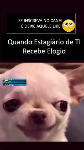 Quando Estagiário de TI Recebe Elogio #ti #estagiario #analistadesuporte #humorti