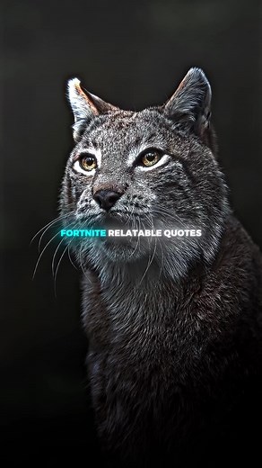 Fortnite Relatable Quotes. #motivation #mindset #success #fortnite