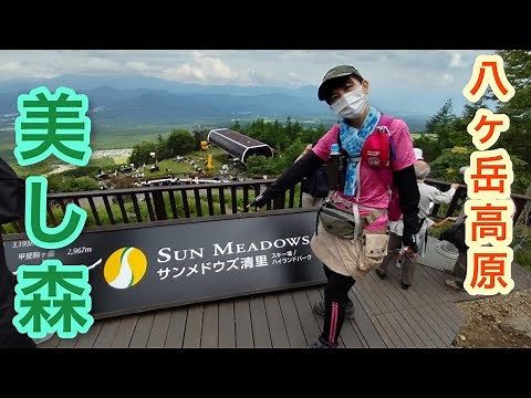 美し森〜清里テラスまで【八ヶ岳高原】⛰おかわりハイキング