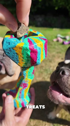 What is a blocky bone? 🦴 #dog #frenchie #frenchbulldog