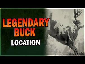 Legendary Buck Location in Red Dead Redemption 2 - Red Dead Redemption 2 Guide