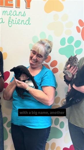 Behind the Scenes: Meet Valley Humane Society's Adoptable Kittens