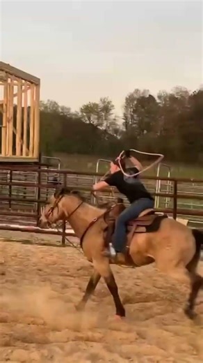 hung up in the chute😭 #rodeo #fypage #horse #breakawayroping #roping #practice #docsbitsygold #fyp