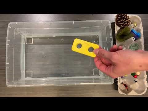 PPLD KidsSTEM The Ripple Effect of Kindness