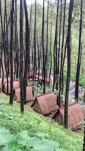 Exploring Pacet in East Java! Hidden Nature Paradise You Must See