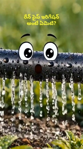 Rain Pipe Irrigation Ante Enti? Raitulaku Krutrima Varam! #redyplast #trending #viral #rainpipe