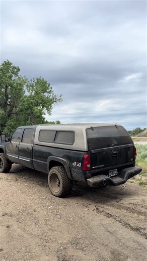 Avery Brown on TikTok